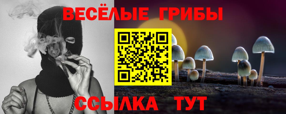 Красноперекопск  Псилоцибиновые грибы Psilocybe  Псилоцибиновые грибы Cubensis  Вход с VPN 
