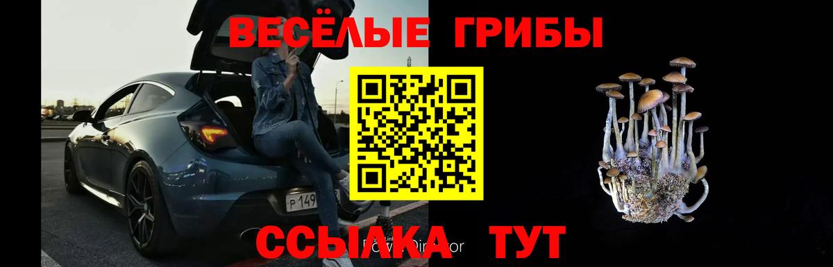 Галлюциногенные грибы Cubensis Красноперекопск